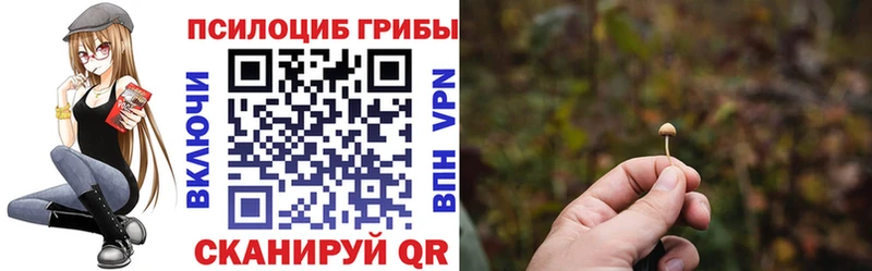 hydra рабочий сайт Звенигово Псилоцибиновые грибы Psilocybine cubensis